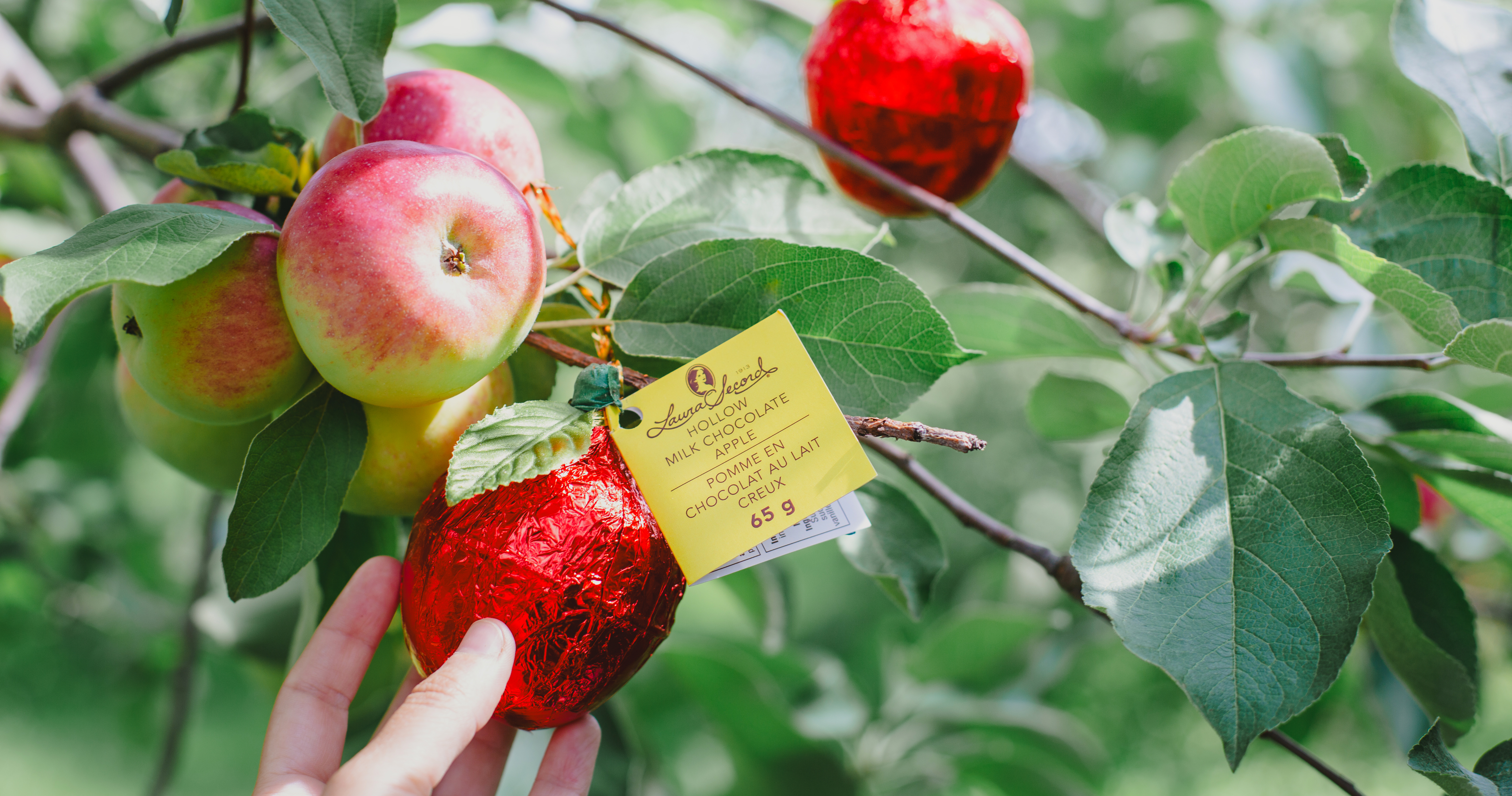 Laura Secord Products