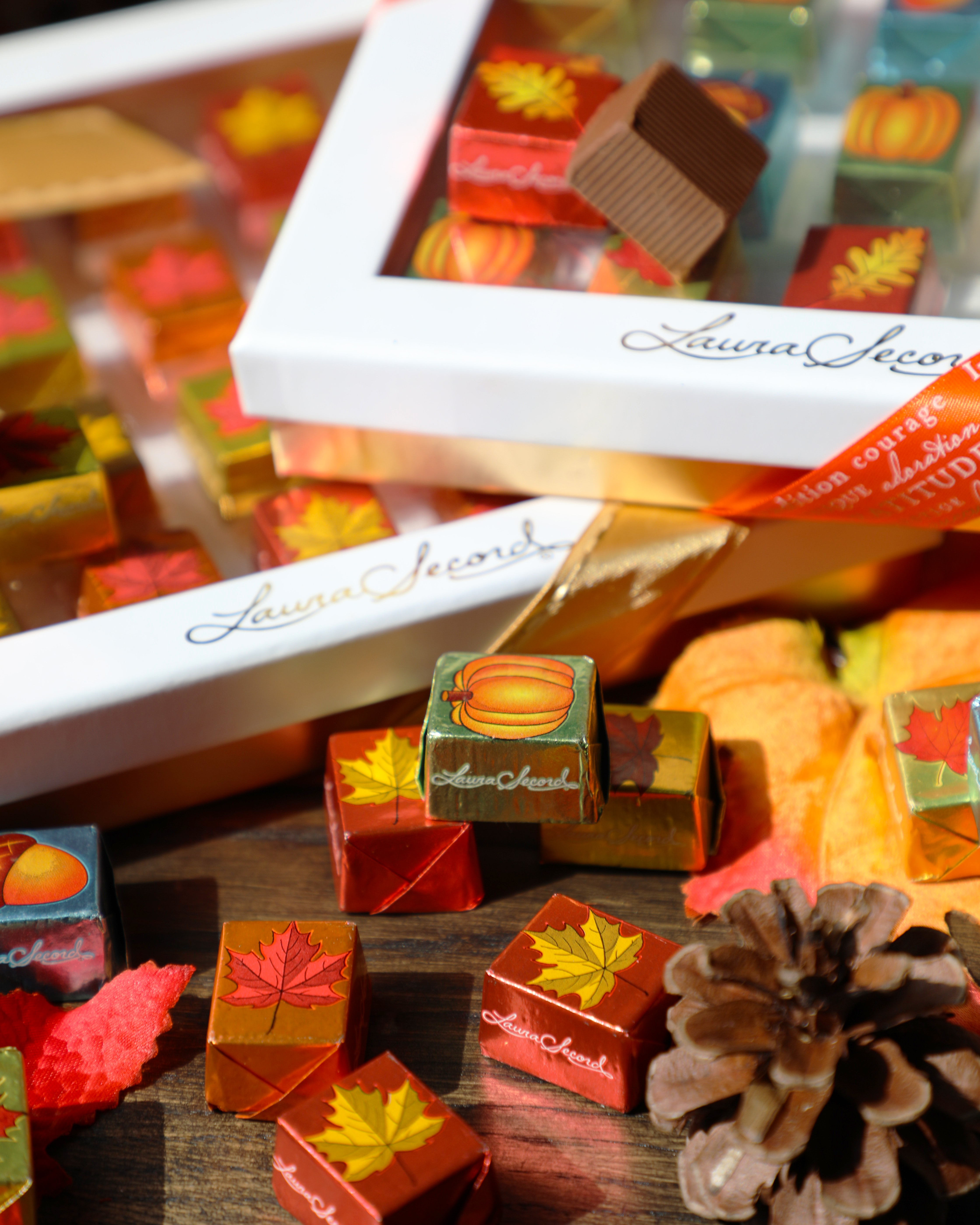 Laura Secord Products